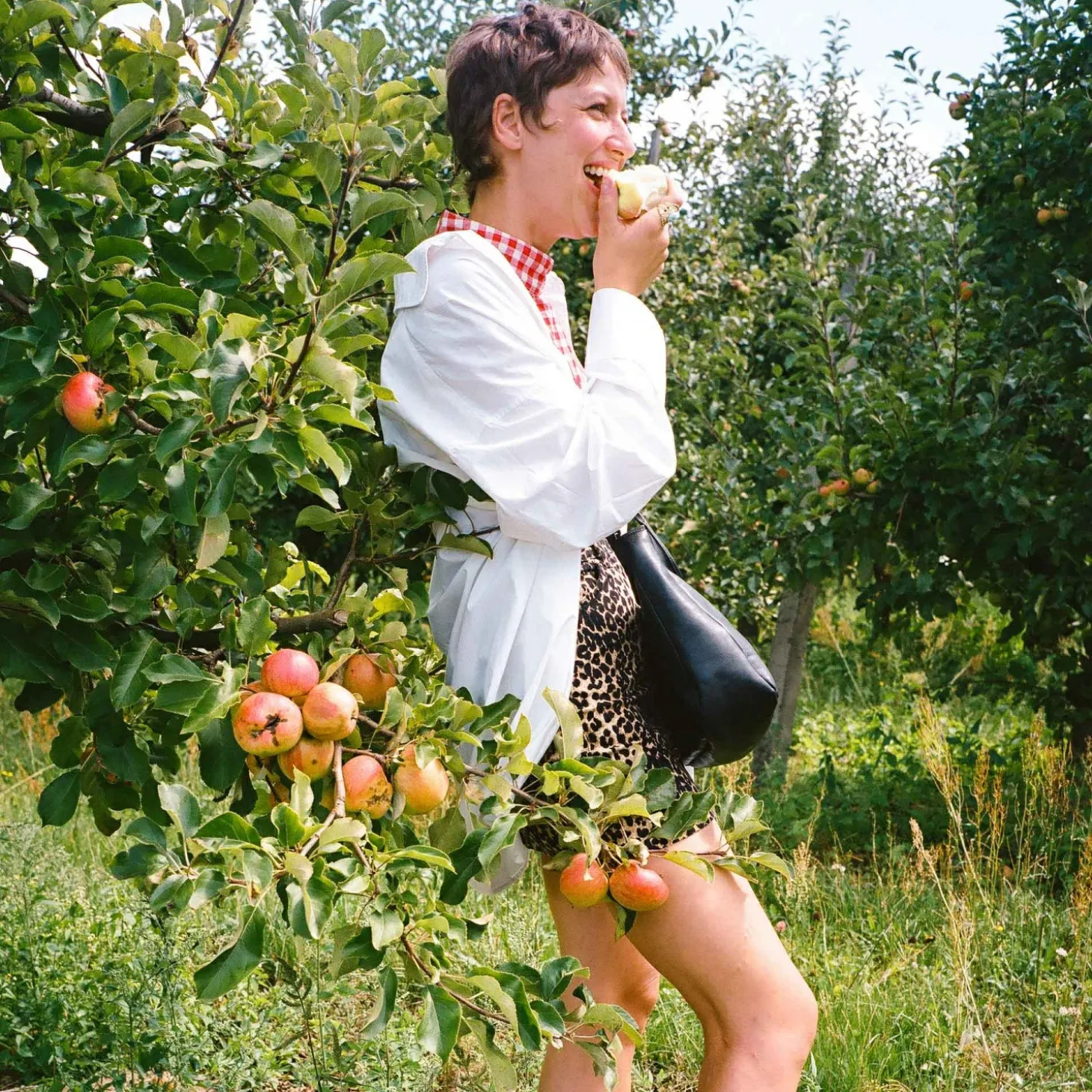 Beatrice Torebka M, Czarny