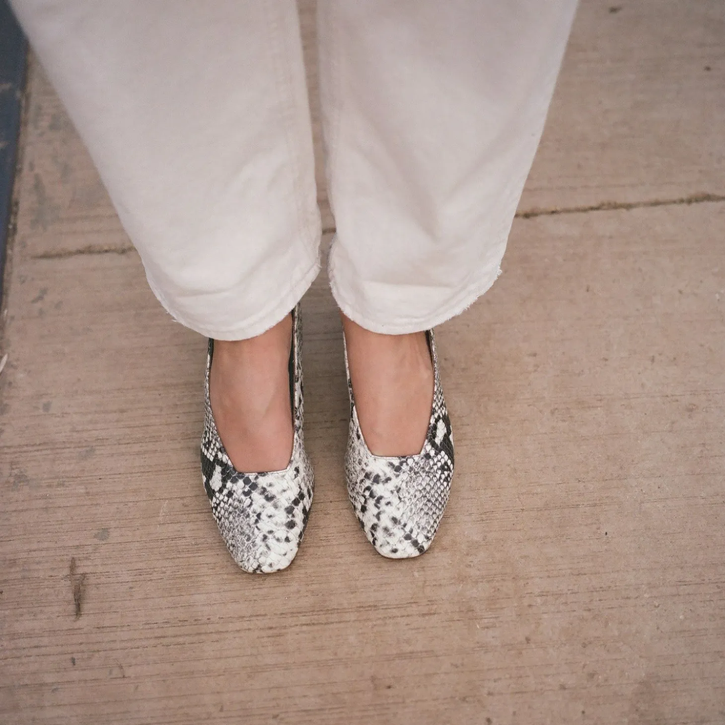 Dvora Czółenka, Zlamana Biel Wzor Pytona