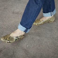 Opera Baleriny, Brazowy Wzor Pytona