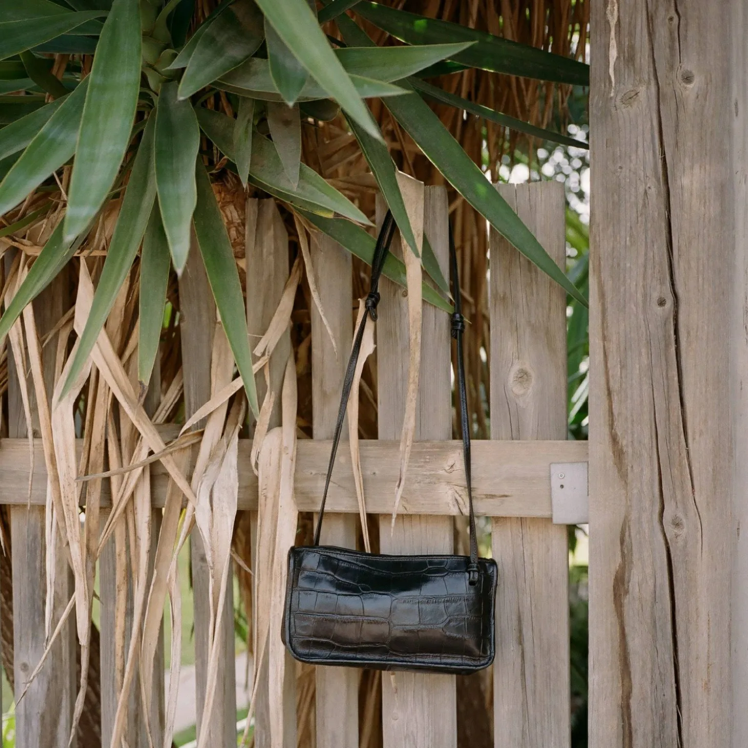 Suzanne Torebka S, Czarny Wzor Krokodyla