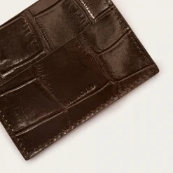 Wizytownik, Brazowy Wzor Krokodyla